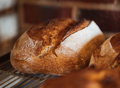 WHH March 26 Bakery 58